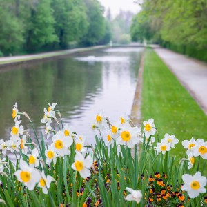 Locatie huwelijksfotografie - Park Aalst